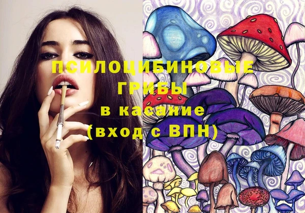 прущая мука Елабуга