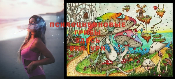 прущая мука Елабуга