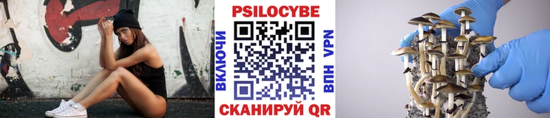 Галлюциногенные грибы GOLDEN TEACHER  Купить  Дыгулыбгей 