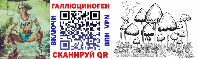 Галлюциногенные грибы Psilocybe Дыгулыбгей